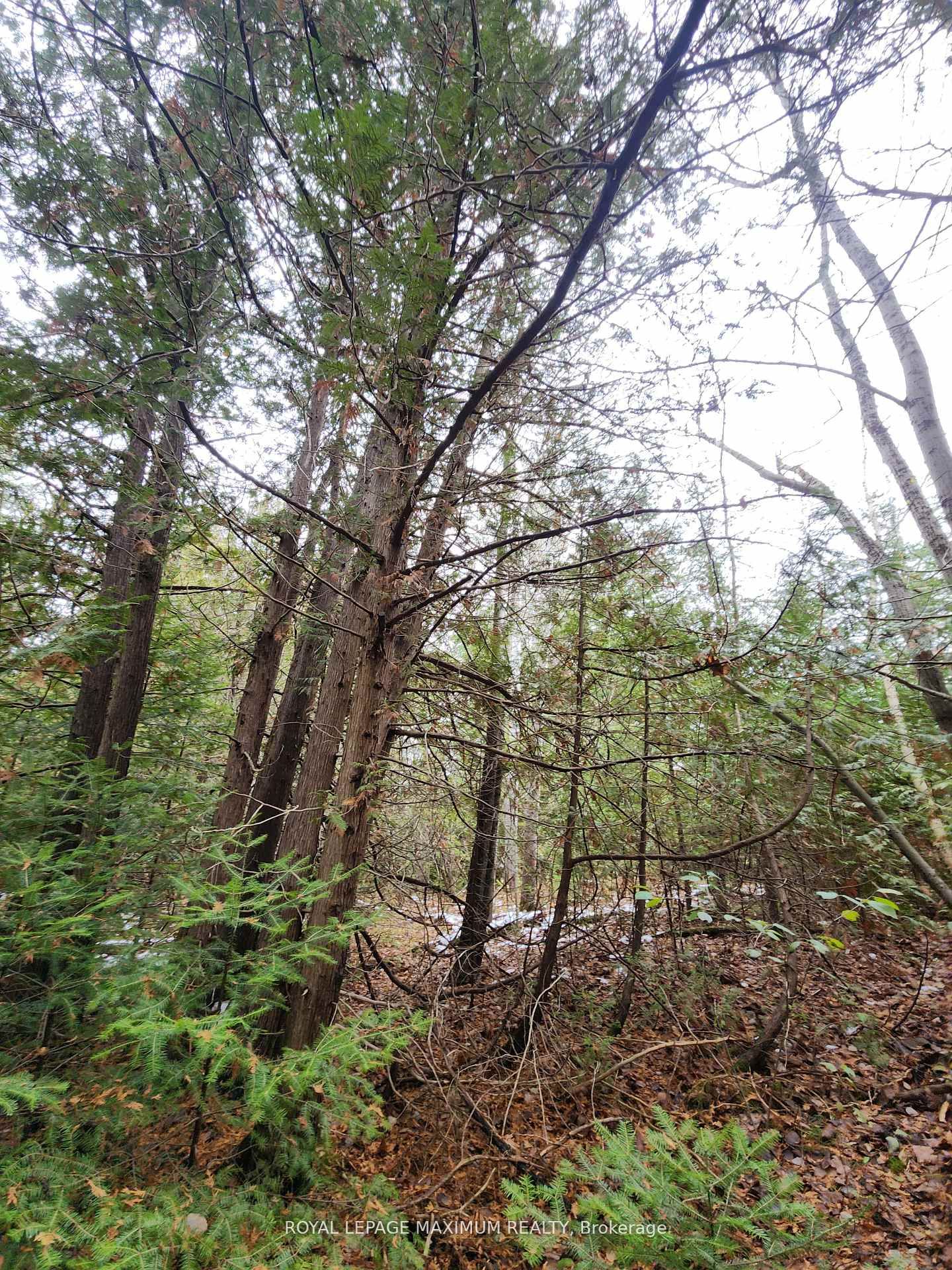 Additional image 2 of 0 Ashworth Road, Uxbridge, ON, L0E 1T0