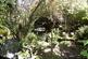 Additional image 21 of Mount Ambrose, Redruth TR15
