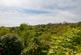 Additional image 11 of St Nicholas Park, Lostwithiel, PL22