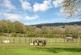 Newtown Linford LE67 photo 4