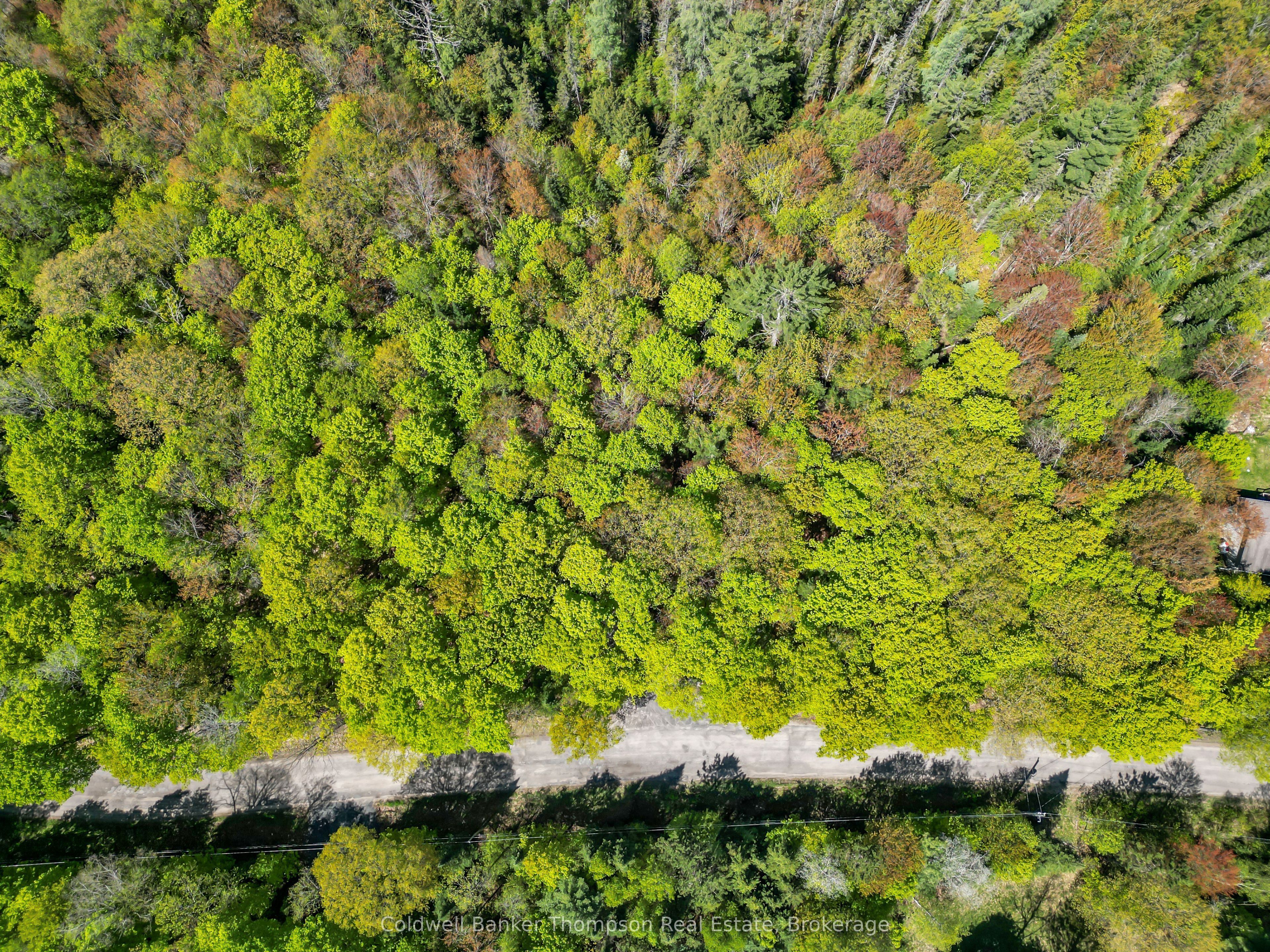 Additional image 2 of 989 North Waseosa Lake Road, Huntsville, ON, P1H 2J4