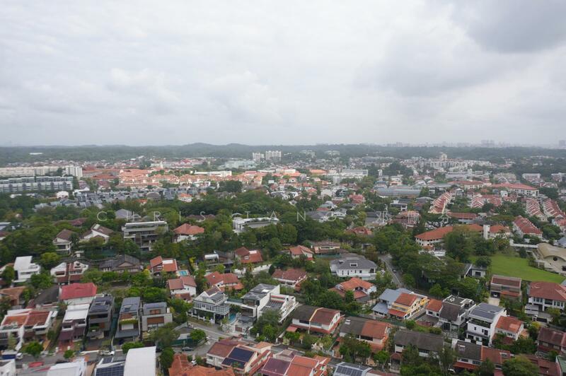 13 Leedon Heights photo 2