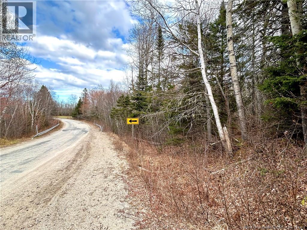 2.87 Acres Portage River Road