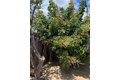 Additional image 17 of 909 S Almansor S, Alhambra, CA, 91801