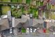 Additional image 2 of 18 Elmdale Road, Coseley, WV14 9AU