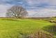 Additional image 2 of Llanboidy, Whitland, SA34