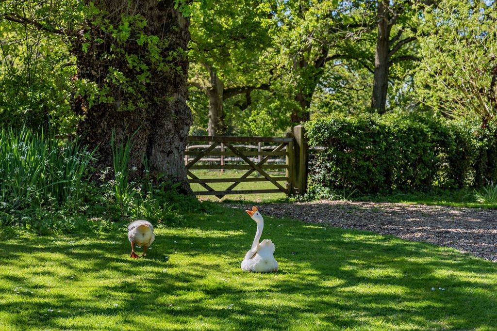 Additional image 24 of 5 bed equestrian for saleHooklands Lane, Shipley, Horsham, West Sussex RH13
