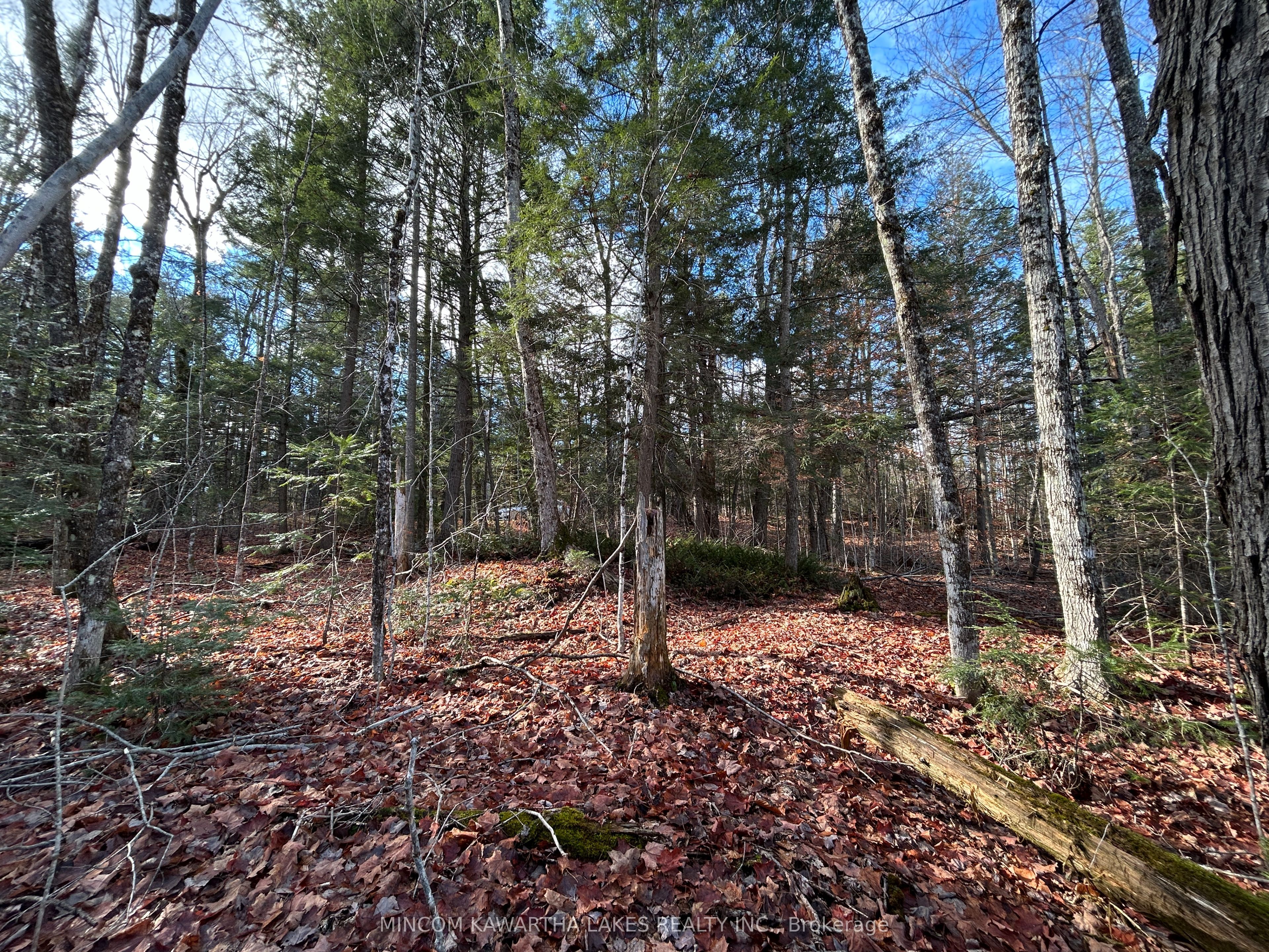 Additional image 5 of 00 Mill Lake Road, North Kawartha, ON, K0L 1A0