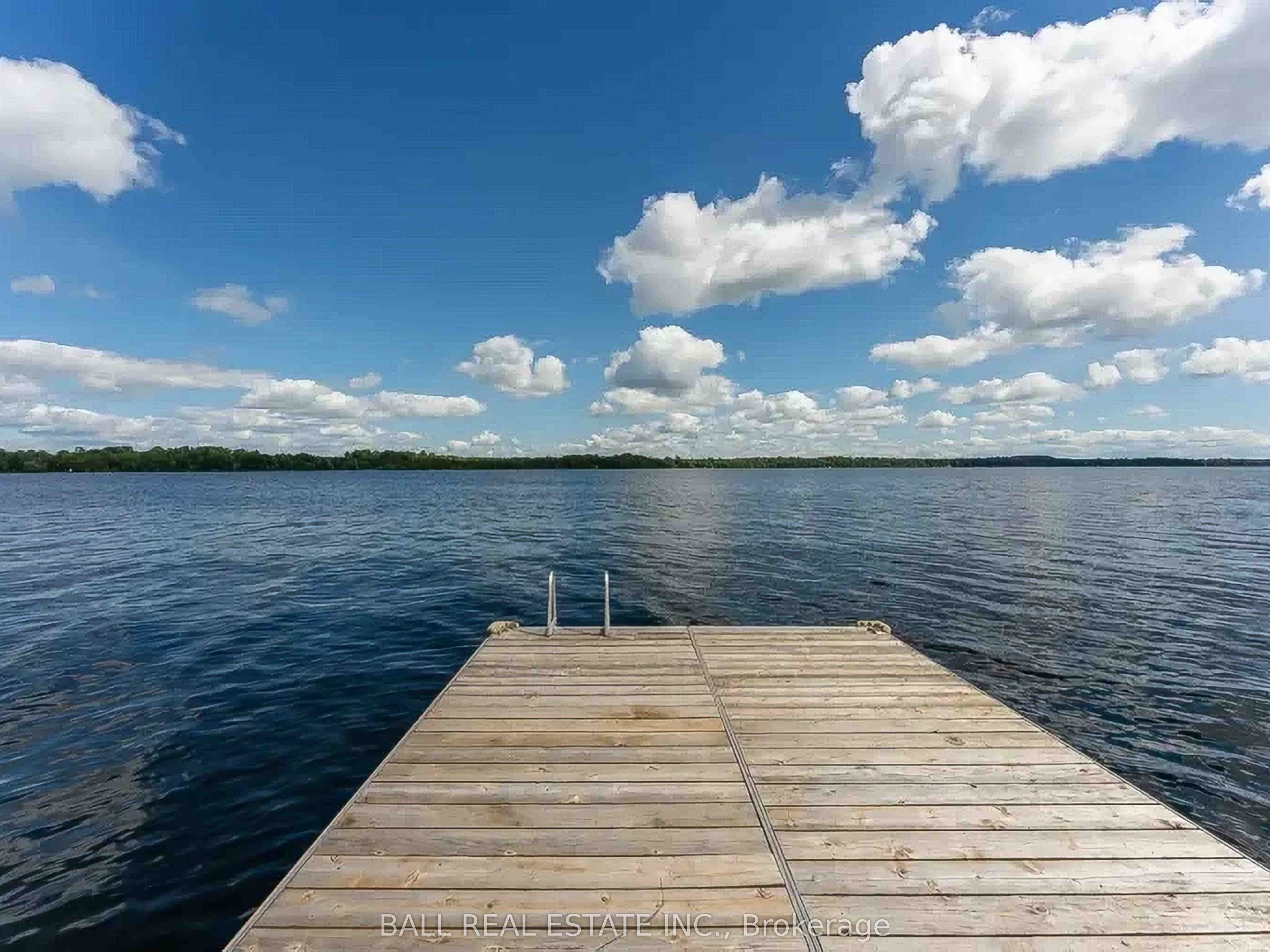 Additional image 4 of 169 Fells Point Road, Kawartha Lakes, ON, K0M 1N0