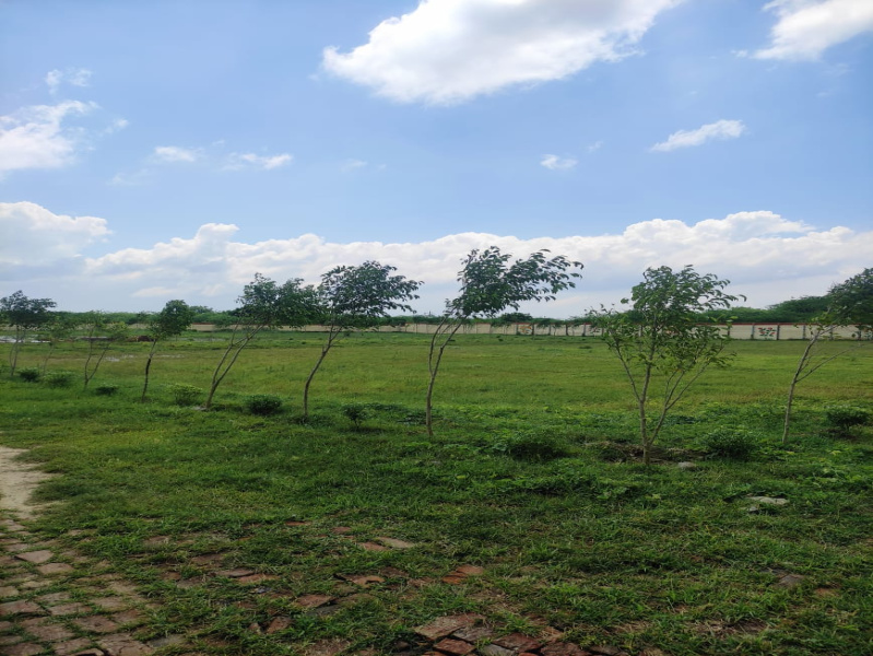 New Jail Road, Lucknow photo 3