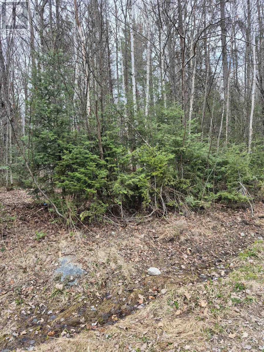 LOT 5 ARBUTUS TRAIL