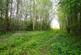 Additional image 10 of Bishops Frome, Worcester, Herefordshire, WR6