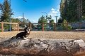 Additional image 36 of 12377 137th Pl NE, Redmond, WA, 98052