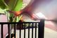 Additional image 13 of Tarporley Close, Prenton, CH43