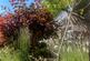 Additional image 47 of Markwick Terrace, St. Leonards, TN38