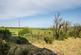 Additional image 21 of Crackington Haven, Bude