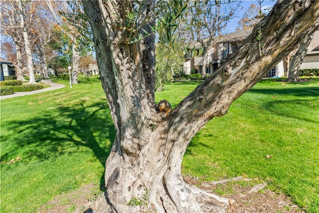 Additional image 39 of 692 Archwood Avenue, Brea, CA 92821