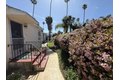 Additional image 14 of 444 Bonair St, La Jolla, CA, 92037