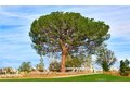 Additional image 48 of 174 Scale, Irvine, CA, 92618