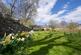 Additional image 17 of 2 Butterdean Farm Cottages, Grantshouse, TD11