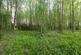 Additional image 9 of Bishops Frome, Worcester, Herefordshire, WR6