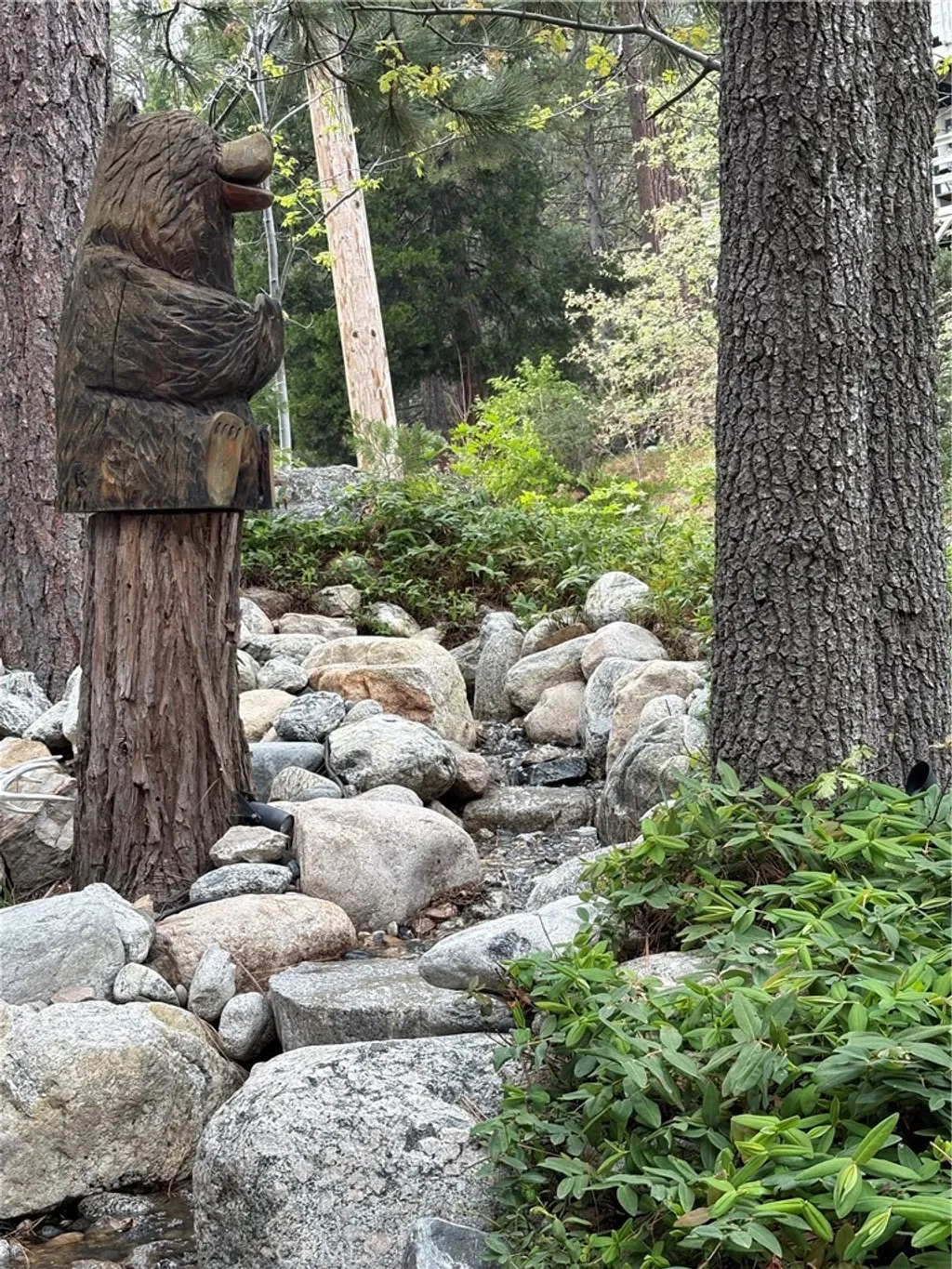 Additional image 61 of 27312 Pinewood Dr, Lake Arrowhead, CA 92352
