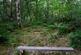 Additional image 12 of Mungo Wood, Benderloch, Oban, Argyle & Bute PA37