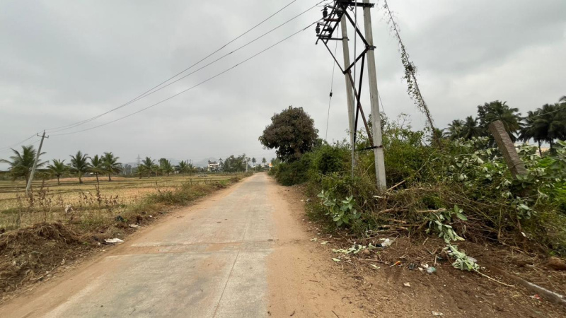 Kanakapura, Bangalore photo 3