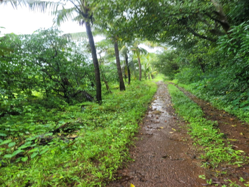 Additional image 3 of Trimbakeshwar, Nashik