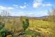 Additional image 12 of 6 Polfearn House, Taynuilt, Argyll, PA35 1JQ, Taynuilt PA35