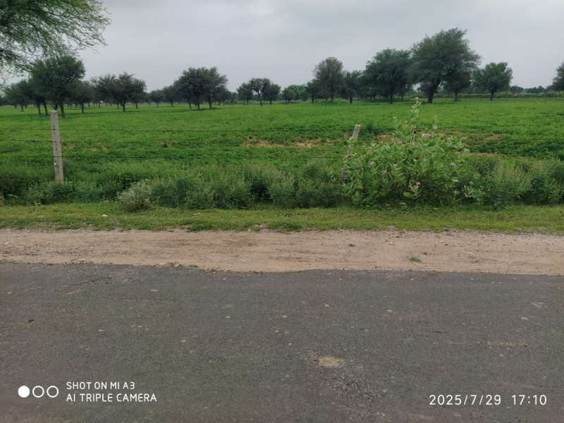 Ajmer Road, Jaipur