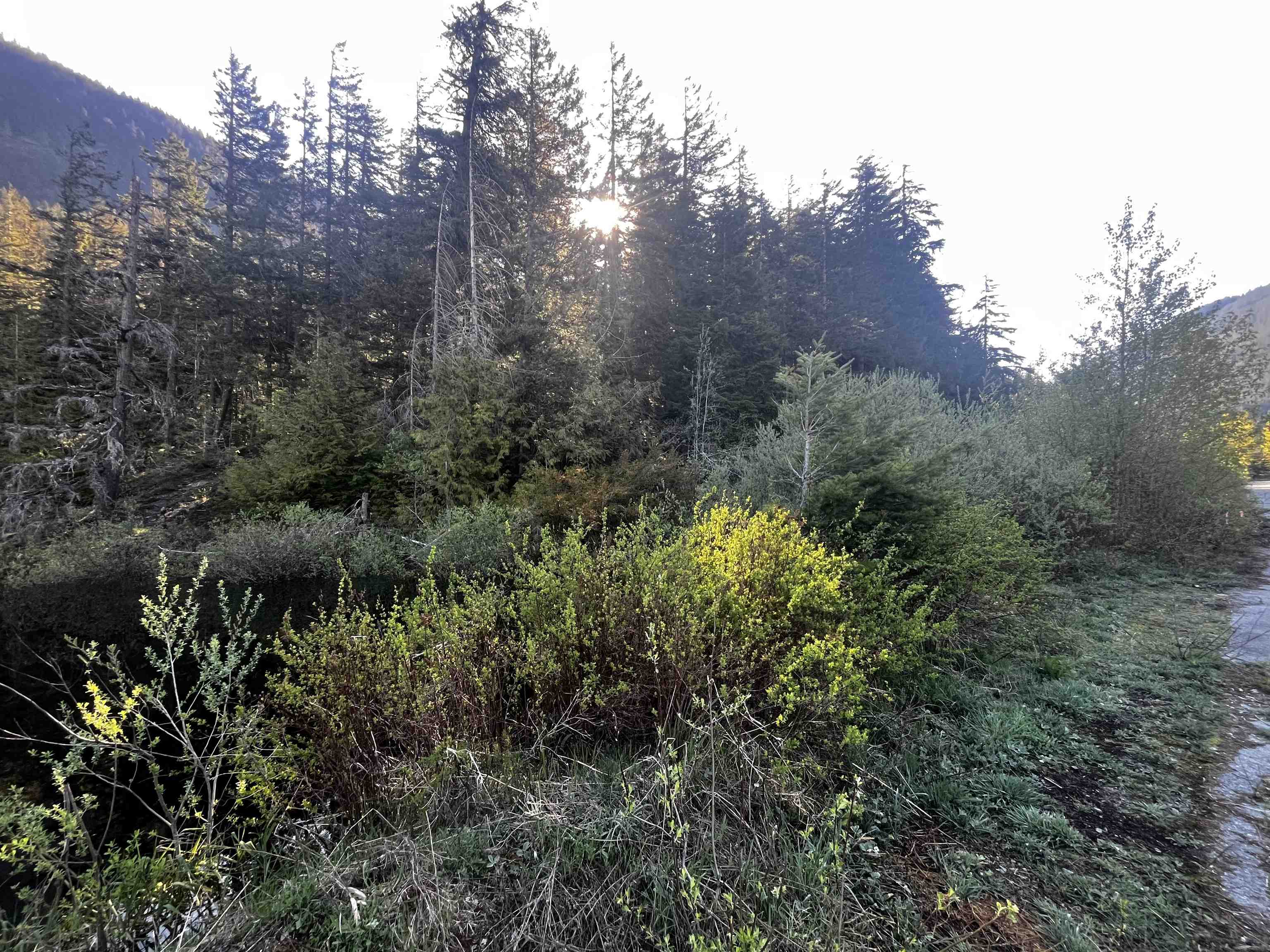 RLL1 Strawberry Lane, Hope, BC, V0X 1L5