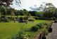 Additional image 22 of Brightling Road, Robertsbridge, East Sussex, TN32