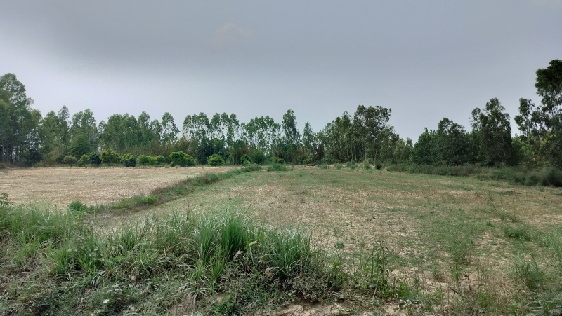 Additional image 3 of Biharigarh, Dehradun