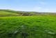 Additional image 4 of Trewidland, Liskeard PL14