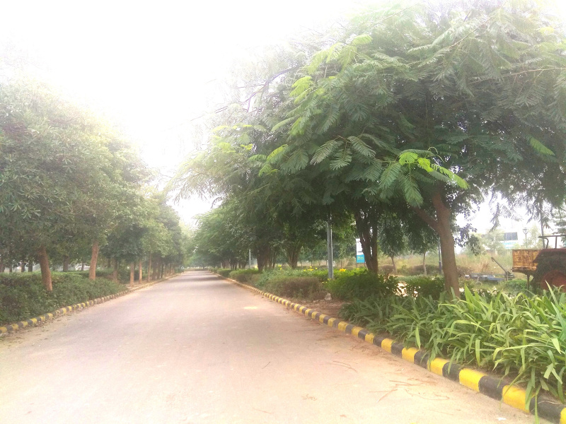 Additional image 2 of Sector 116, Mohali