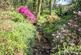 Additional image 21 of Hoo Meavy, Yelverton