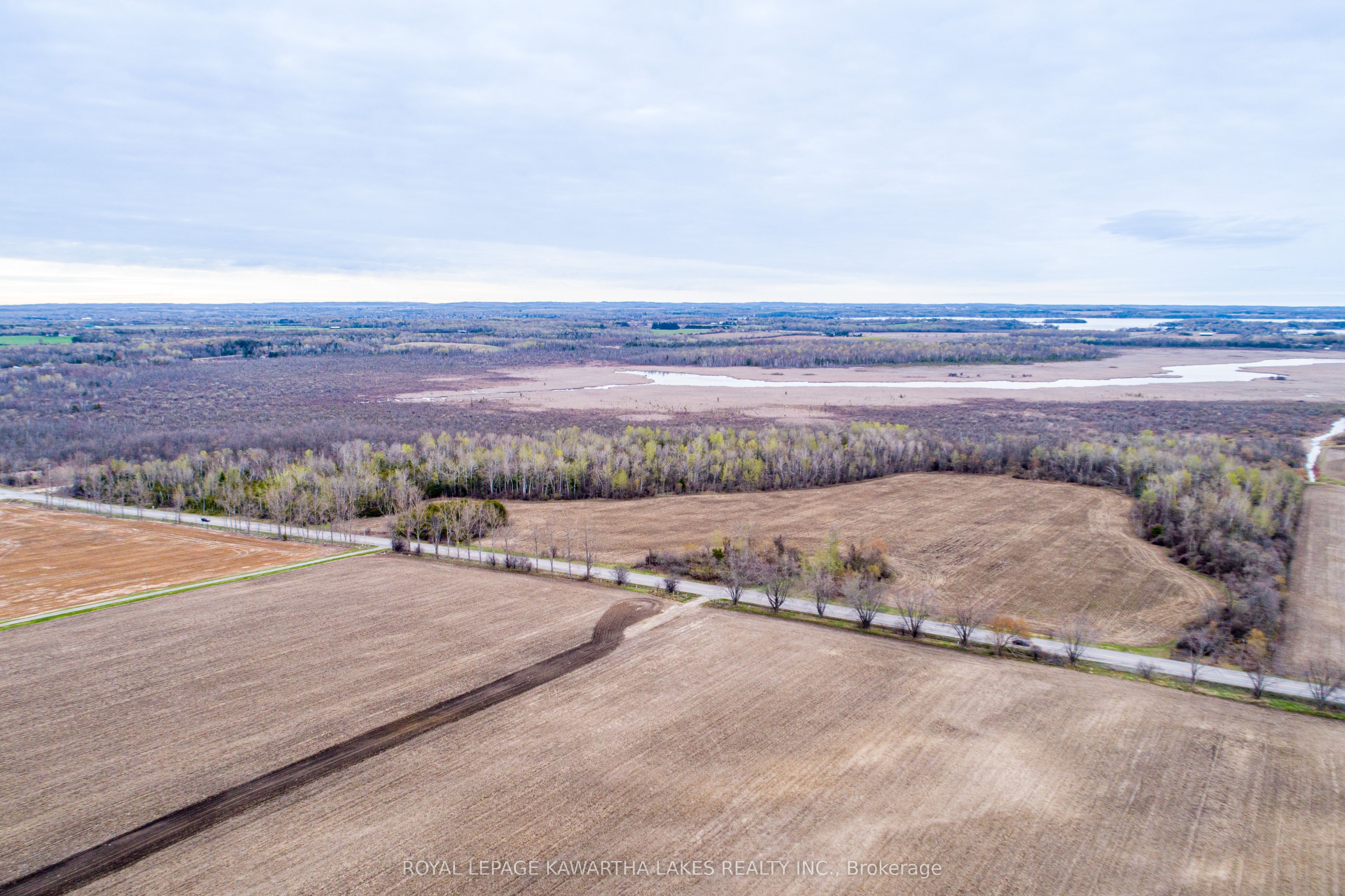 Additional image 4 of 890 Ramsey Road, Kawartha Lakes, ON, K0M 2C0