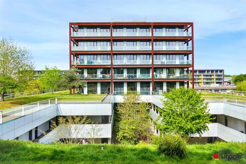 Lakeshore Drive, Imperial Park, Bristol BS13