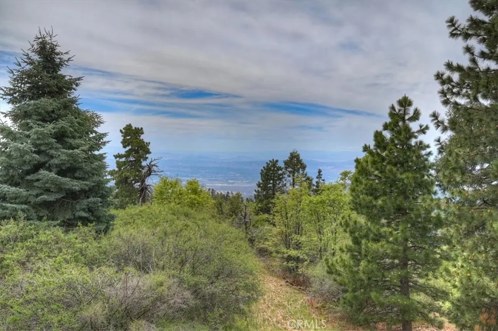 Additional image 96 of 2489 Spring Oak Dr, Running Springs, CA 92382