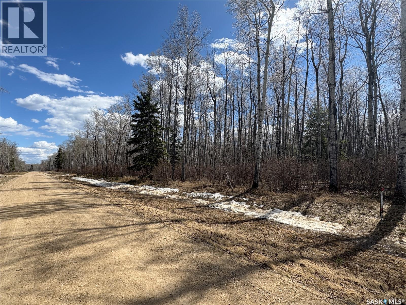 10 Acre Delaronde Lake Acreage