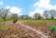 Additional image 24 of School Lane, Brimfield, SY8