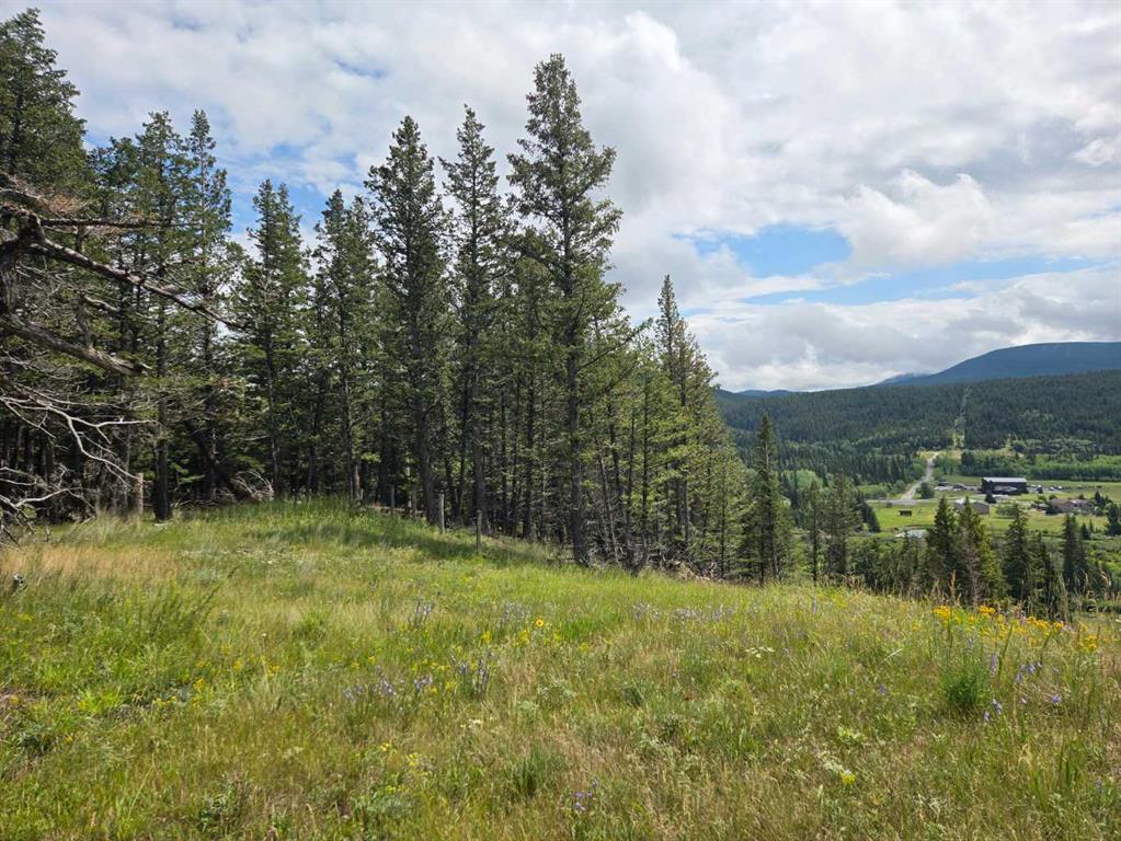 Additional image 4 of #4-5302 19th Avenue, Coleman, AB, T0K0M0