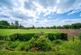 Additional image 5 of Ashford Carbonel, Ludlow, SY8