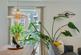 Additional image 19 of Mullins Place, Clapham, London, SW4