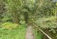 Additional image 17 of Rosehill Walk, Tunbridge Wells, Kent, TN1
