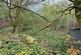Additional image 8 of Winewall, Colne, Burnley, BB8
