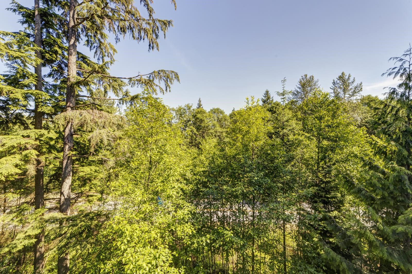 Additional image 4 of 1xx-9060 University Crescent, Burnaby, BC, V5A 0E1