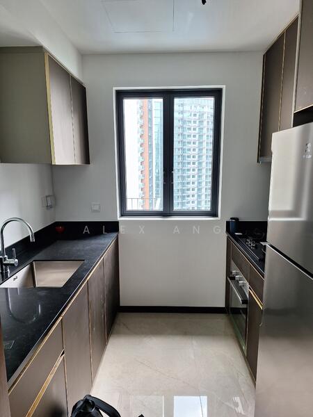 51 Normanton Park photo 5