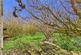 Additional image 3 of Mounthigh, Stronsay, Orkney, KW17 2AJ